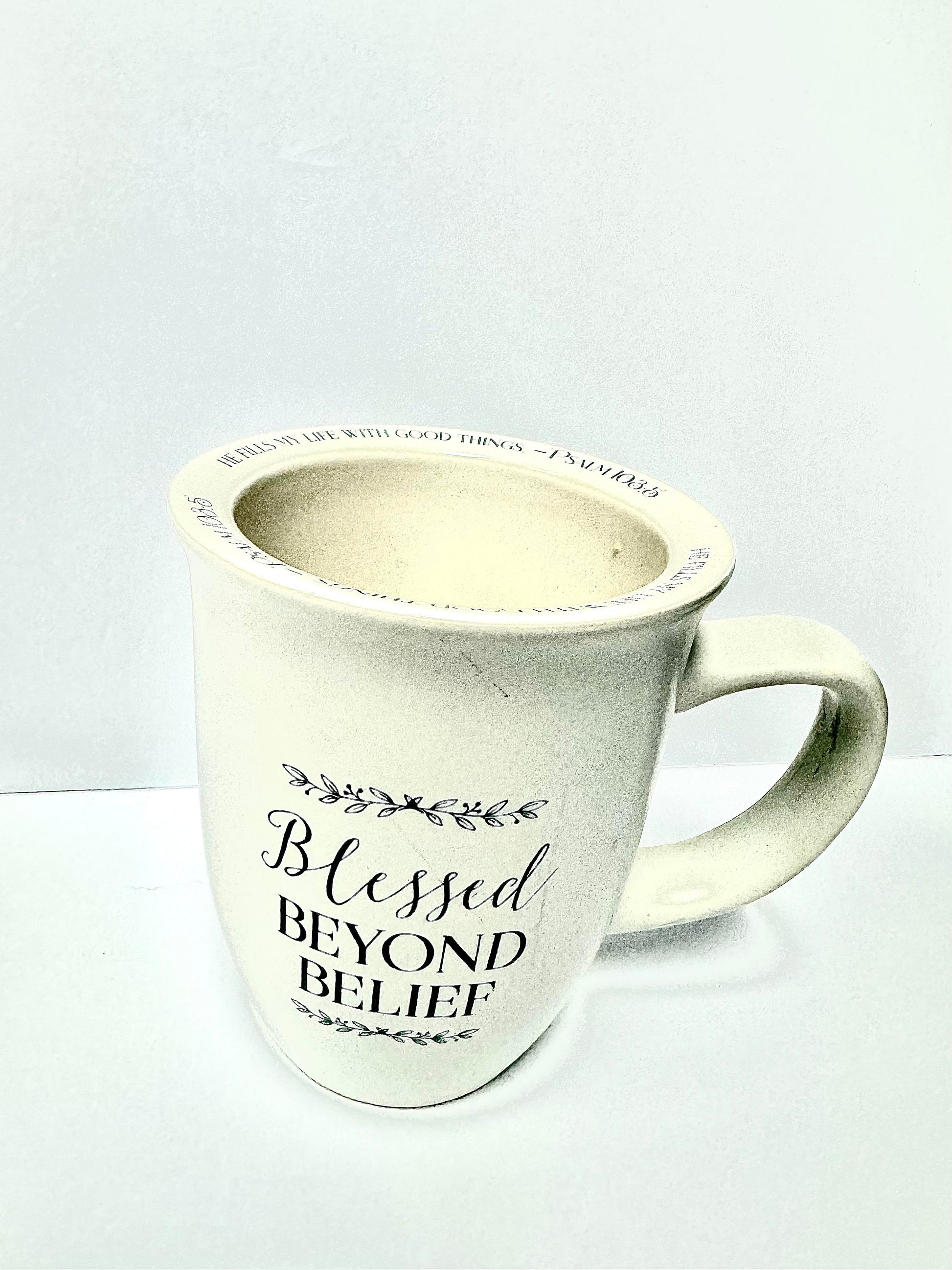 Blessed Beyond Belief Mug